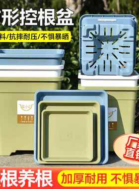 草莓盆方形花盆方盆透气控根青山加仑盆三代盆栽大号塑料盆