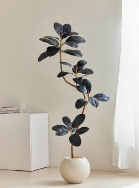 黑金刚橡皮树彷真植物高端轻奢客厅摆件大型落地侘寂风彷生假植物