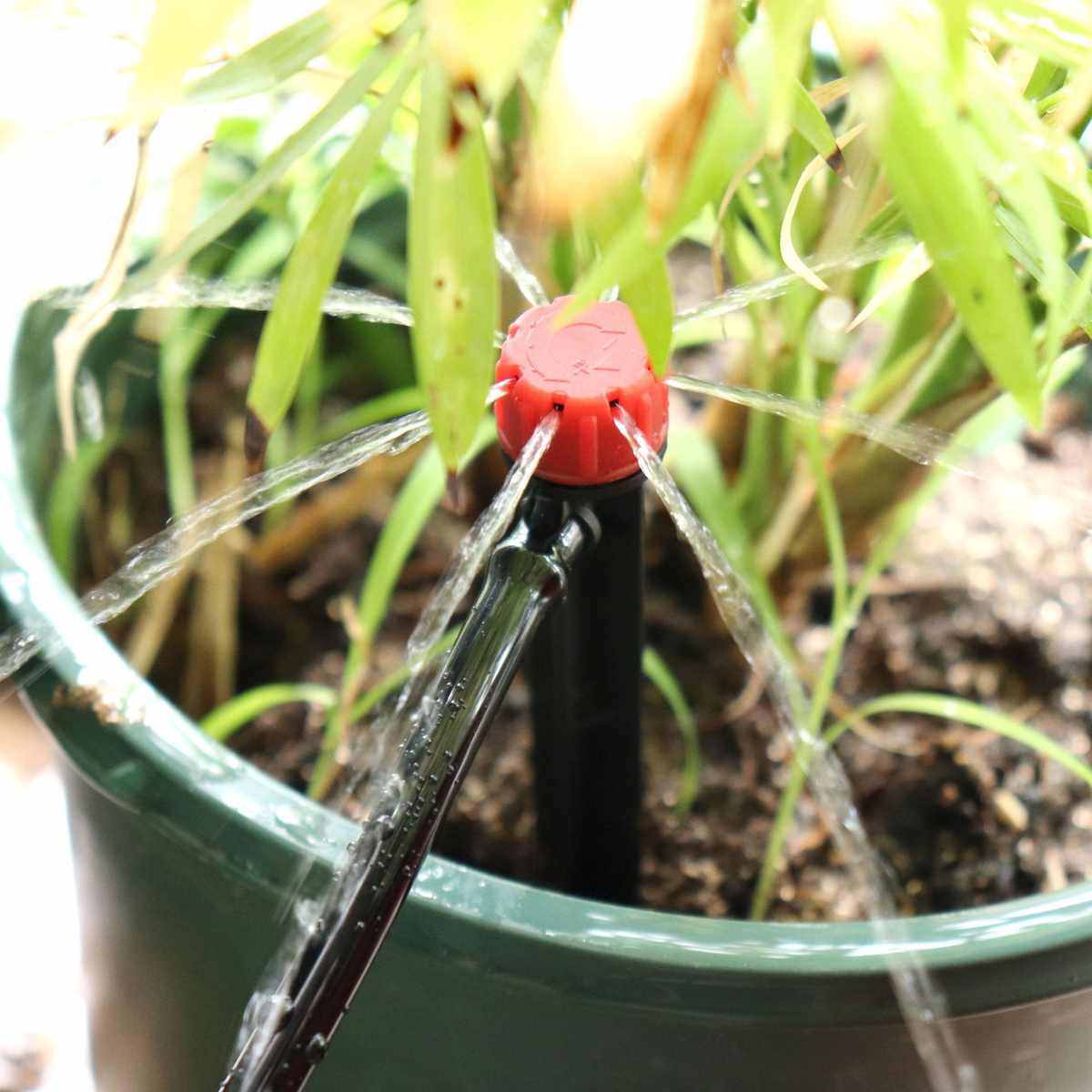 热销园艺可调喷头滴灌系统植物盆栽浇水套装阳台园林灌溉工具,鲜花速递/花卉仿真/绿植园艺,洒水/浇水壶,淘宝优惠券,粉丝福利购,淘宝优惠卷