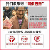 验钞机家用语音便携式 小型机器钱可充电迷你点钞机充电手持收银验