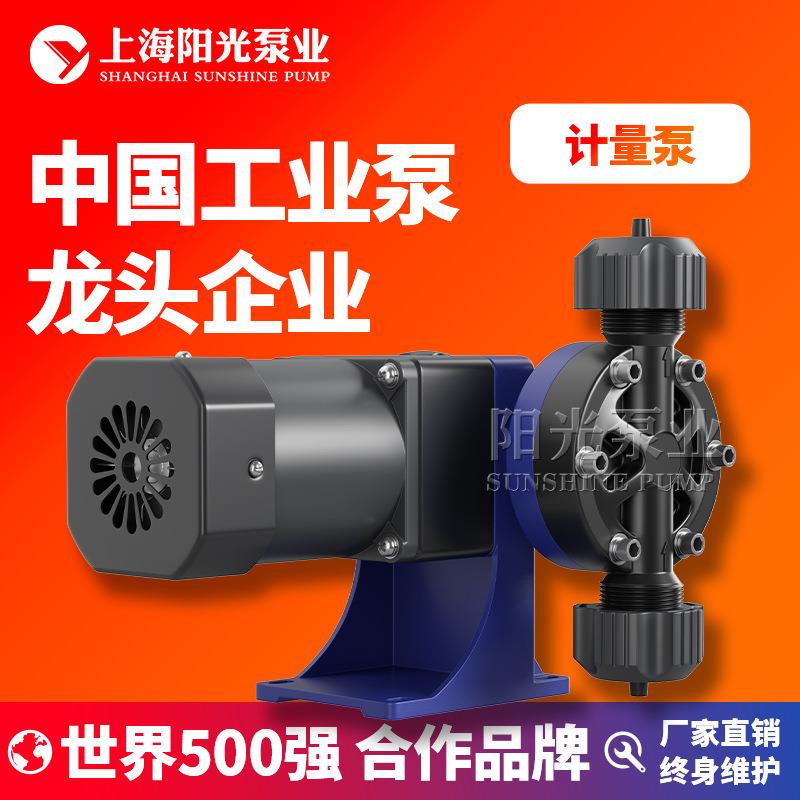 DJ-W型隔膜式计量泵 机械计量泵电磁隔膜计量泵高压计量泵 定金