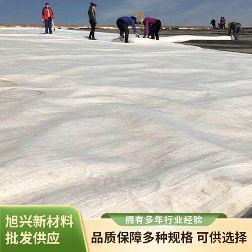 垃圾场用长丝布价格路基养护布涤纶强土工布价格公路养护布