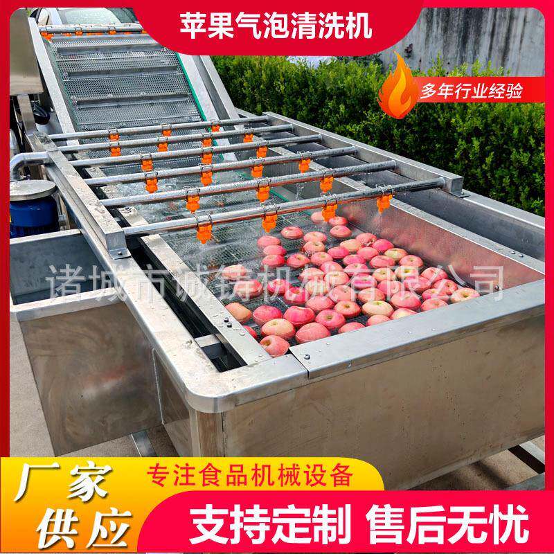 商用果蔬气泡清洗机百香果清洗加工设备砂糖橘鼓泡翻浪喷淋清洗机
