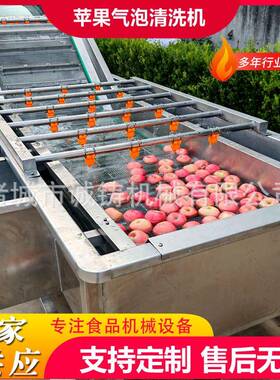 商用果蔬气泡清洗机百香果清洗加工设备砂糖橘鼓泡翻浪喷淋清洗机