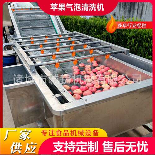 工厂用果蔬气泡清洗机果脯鼓泡翻浪清洗机设备杏干气泡清洗风干线