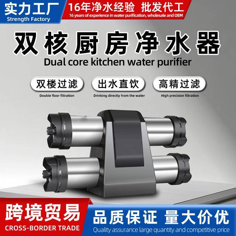 不锈钢净水机家用双重净化厨房水管直饮水机超滤双子星净水器家用