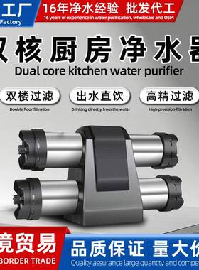 不锈钢净水机家用双重净化厨房水管直饮水机超滤双子星净水器家用