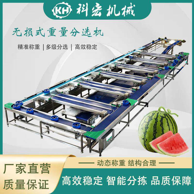 机械无损式重量分选机西瓜哈密瓜智能分选菠萝芒果重量分选