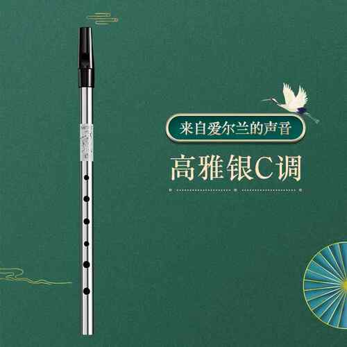新款爱尔兰乐哨笛初学者竖笛锡笛C调D调奏笛子专业演高生音直笛器