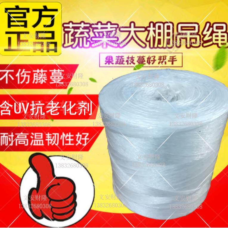 蔬菜吊挂绳 大棚温室番茄黄瓜吊蔓绳吊秧绳吊绳(6250米/卷)