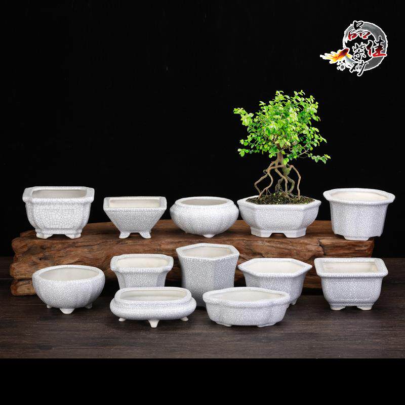 紫砂花盆迷你陶瓷手工小花盆办公室桌面微型多肉植物盆景盆菖蒲盆