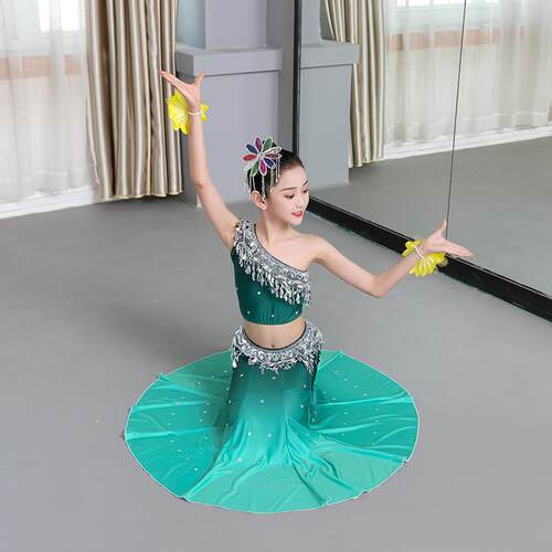 高档傣族修舞演服蹈女童儿童艺考练功裙孔雀舞蹈表演服身包臀鱼出