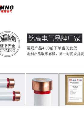 RN1/RN3/RN2-35/0.5A户内高压限流熔断器RXWO/RW10/RW9-40.5KV