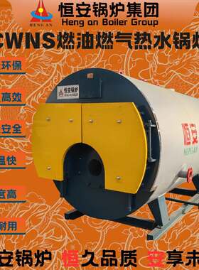 CWNS系列燃气热水锅炉石英砂清洗热水锅炉烧水加热燃气锅炉配置