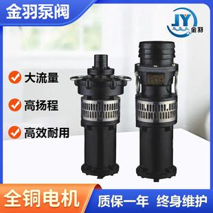 11油浸式 潜水泵铸铁国标油浸泵380v农田灌溉潜水泵 QY40