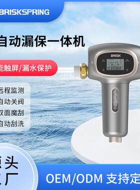 BRISK倍瑞康全屋净水反冲洗前置过滤器漏保一体不锈钢滤网