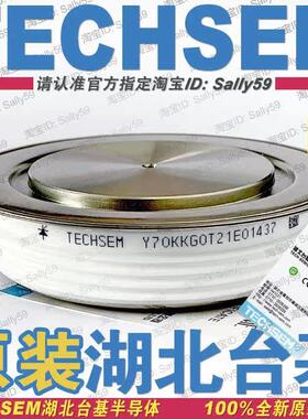 Y70KKG0T KK2000A3000V TECHSEM湖北台基KT60cT晶闸管KKGOT可控硅