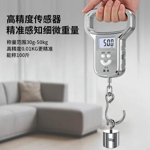 便携式手提准电子秤精家用小弹簧称型重器行随李秤商用stc手提克