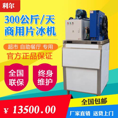 小型商用片冰机300公斤超市自助餐鱼肉保鲜用片冰制冰机