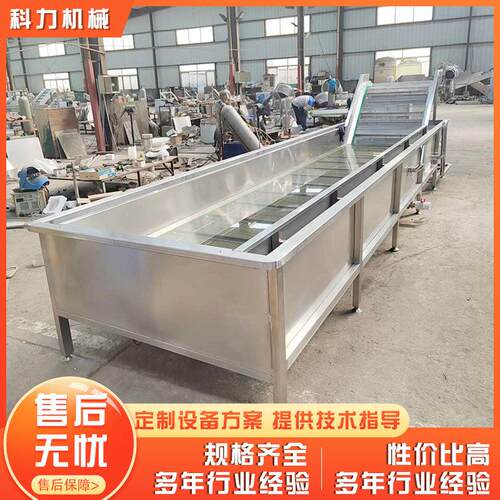 不锈钢水果清洗机 柠檬自动清洗机 芒果气泡清洗机自动洗果机