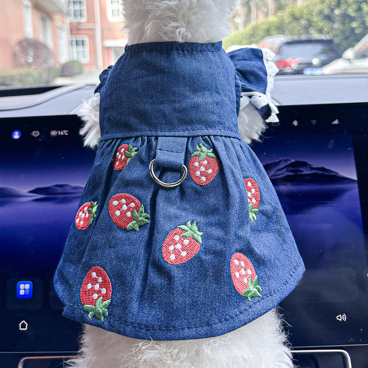现货宠物狗猫咪衣服春夏装可牵引刺绣草莓连衣裙厂家直销