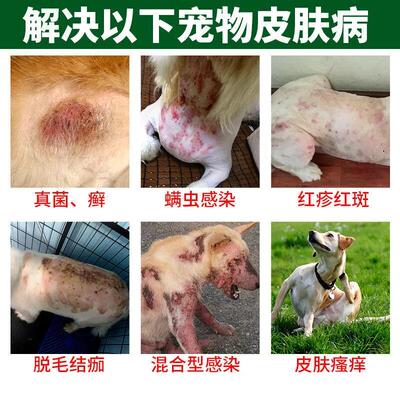 狗狗皮肤病外用药长癣真菌感染脱毛螨虫掉毛脓皮狗藓宠物专用喷剂