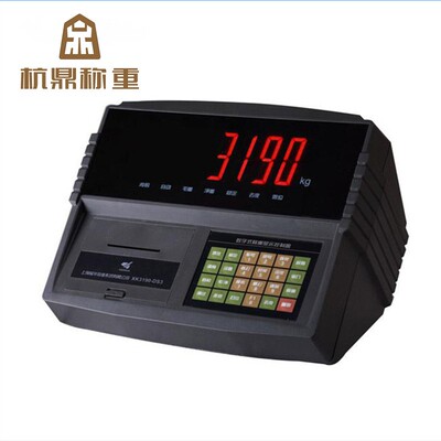 DS数字式工厂SCS便携式电子汽车衡100t大称量便携式汽车衡器