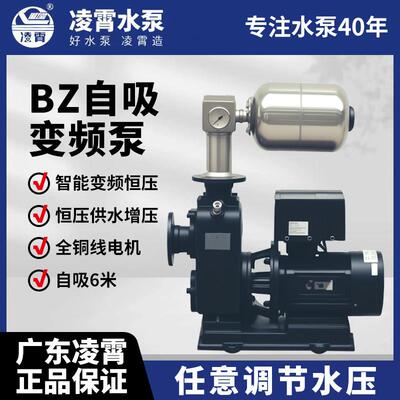 广东凌霄BZ卧式变频自吸泵增压泵大流量河水灌溉工业恒压供水泵
