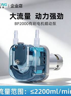 雷熔大流量BP2000直流有刷蠕动泵小型奶茶灌装机实验室抽水泵24V