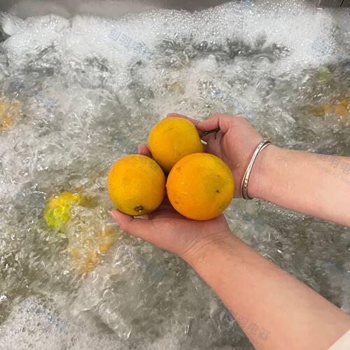 橙子水果洗果机 超声波单缸气泡清洗机小油菜 土豆木耳洗菜机