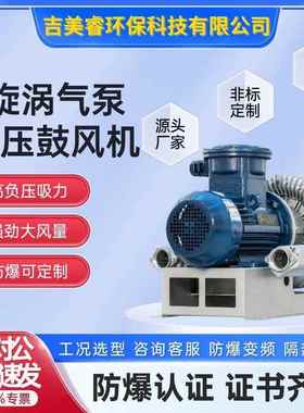 气体循环输风送旋涡式气泵LR0B9VFJ4S双段立式压鼓机高2kw大气量