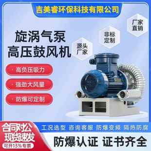 直连联轴器防爆漩涡风机5500w高负压流量抽真空高压鼓风机FBZ 810