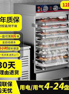 商用蒸饭柜电蒸箱燃气蒸饭车节能蒸饭机智能电气两用蒸饭柜蒸米饭