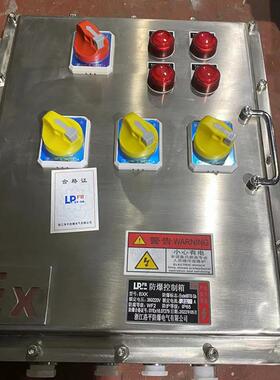 BXM(D)52防爆照明（动力）配电箱 化工厂粉尘防爆箱 壁挂式配电柜