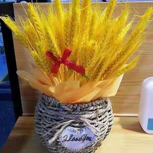 天然金色麦穗干花花束开业大麦客厅田园装饰摆件插花花蓝草编花盆