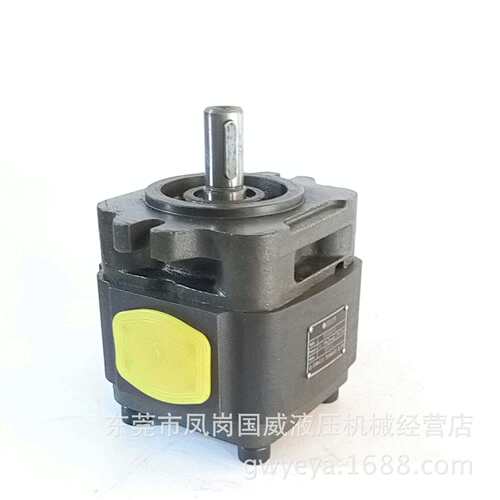 HDS内啮合齿轮泵BIG4050代替EIPC3液压泵 齿轮泵高压油泵