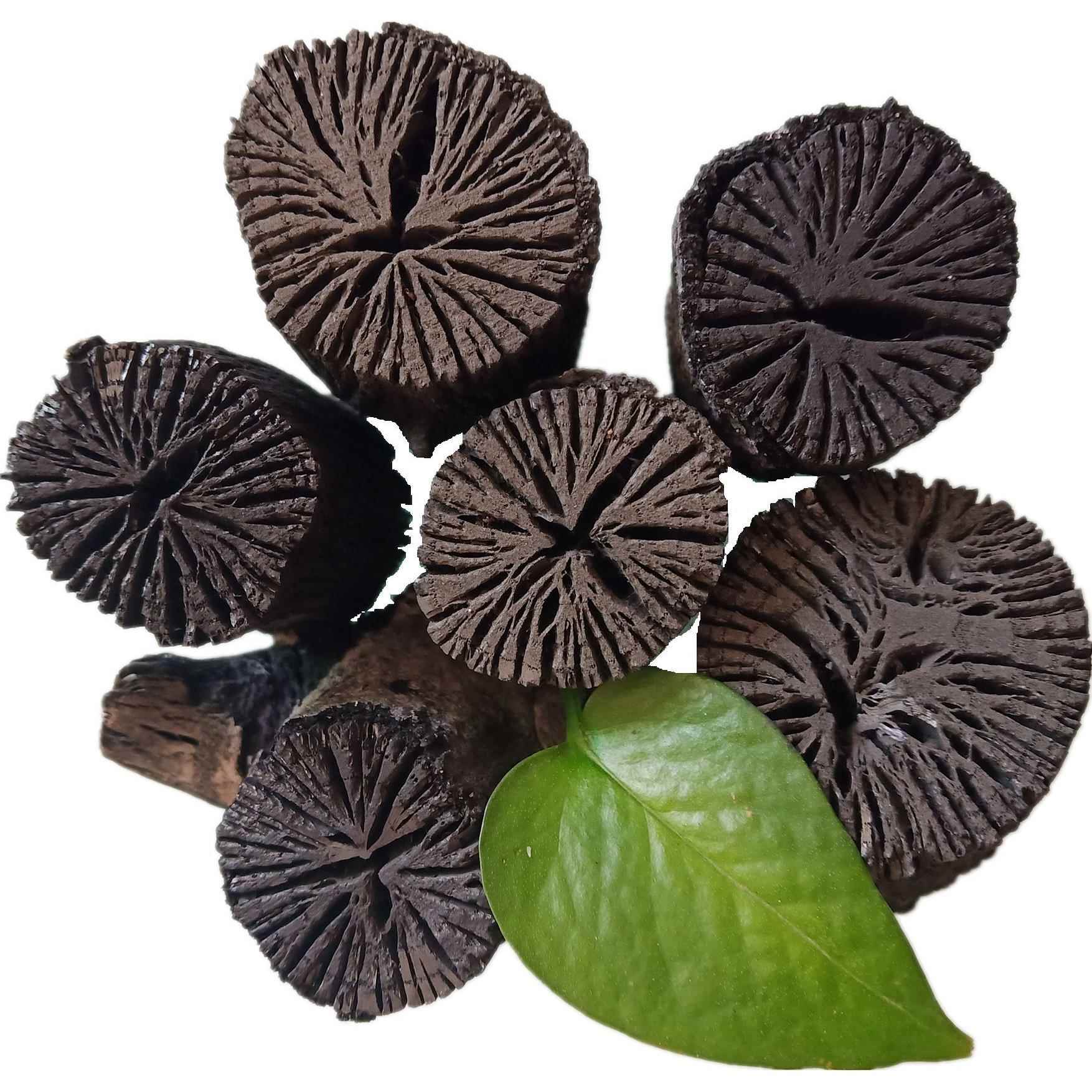 现货供应菊花碳果木炭户外烧烤家用火锅汗蒸房用菊花碳