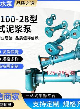 NL100-28型立式泥浆泵4寸22KW高扬程160立方铸铁液下水泵