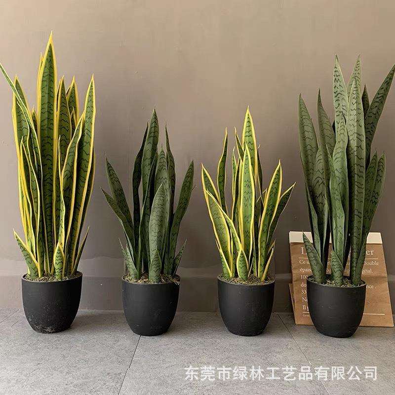 仿真虎皮兰盆景人造绿植外母舌黄边虎皮兰室内外装饰摆件仿真芦荟