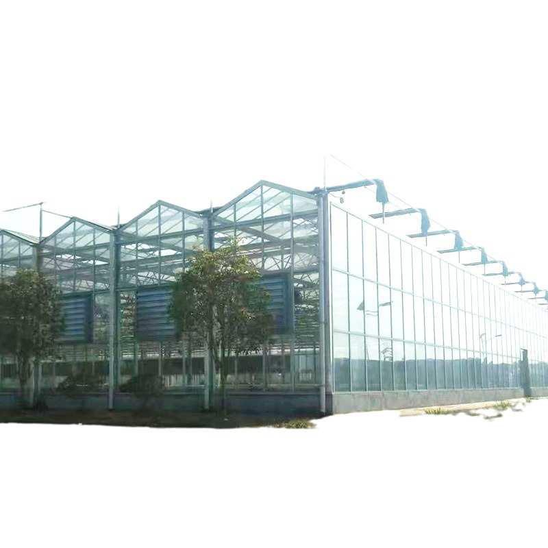 玻璃温室大棚安装智能温室大棚玻璃农业观光大棚花卉种植展厅暖棚