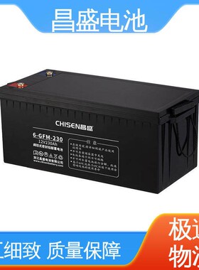 昌盛 6-GFMJ-230 UPS 仪器仪表 应急蓄电池 售后保障