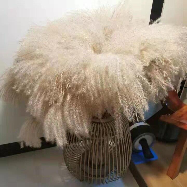 北欧天然大芦苇干花花束拂尘花婚礼装饰客厅落地家居摆设拍摄道具