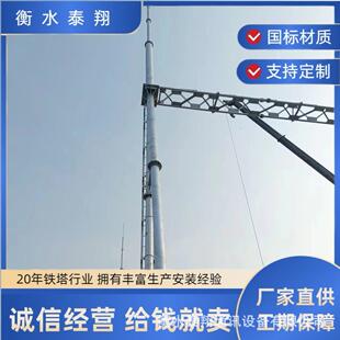 架构避雷针25米独避雷针变电站构支架跨境运输户外电力构架镀锌