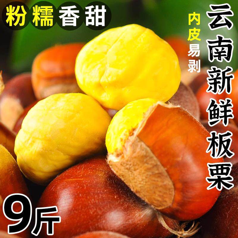 新鲜板栗云南生栗子5斤大果鲜嫩生毛粟子当季现摘带壳锥栗仁包邮
