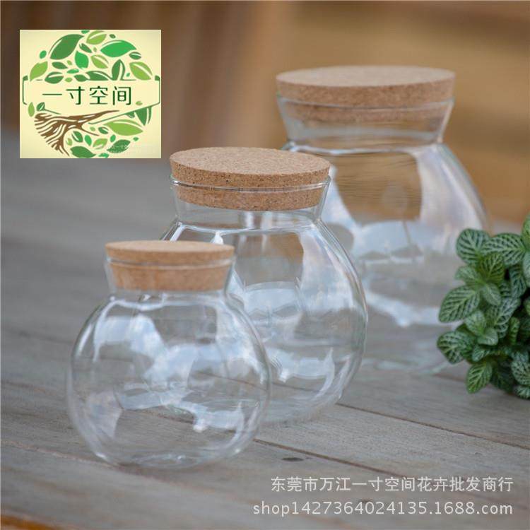 苔藓微景观生态瓶 微景观带灯木塞瓶 植物DIY专用玻璃瓶生态瓶