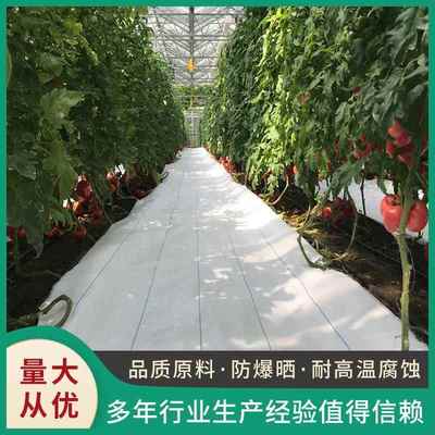 白色防草布抗老化除草布反光增甜遮草布大棚温室果园种植农用地膜