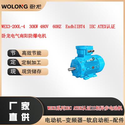 WEX3-200L-4 30KW 480V 60HZ ExdbIIBT4 IEC ATEX认证 电机
