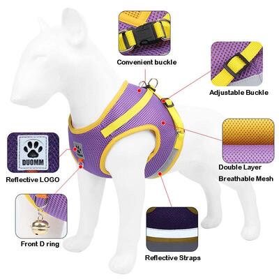 Reflective Safety Pet Dog Harness and Leash Set for Small Me