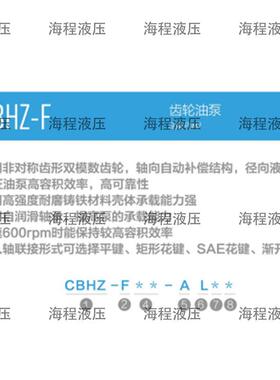 CBHZ-F系列齿轮油泵单联泵C齿轮泵