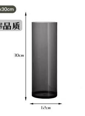 亚克力富贵竹花瓶摆件客厅花瓶